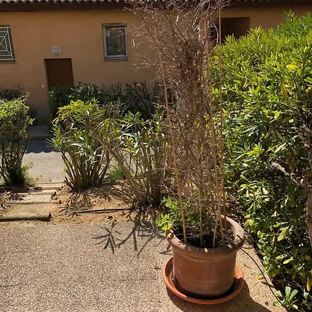 Porticcio, Agosta Vue Pour 6 P, 2 Ch, Promo 7 Nuits Διαμέρισμα