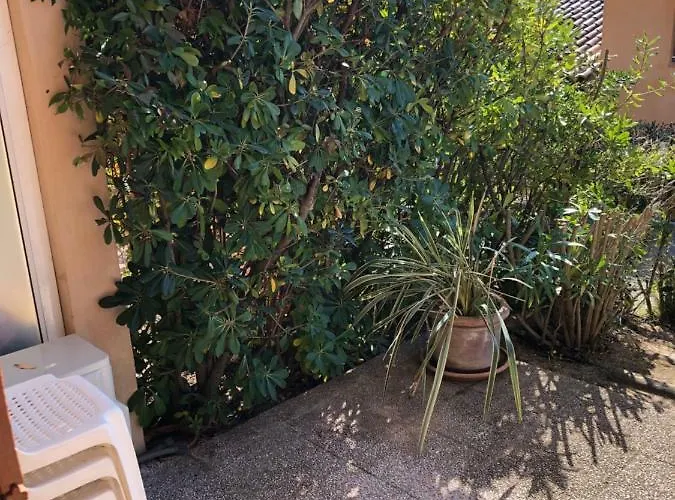 Porticcio, Agosta Vue Pour 6 P, 2 Ch, Promo 7 Nuits *