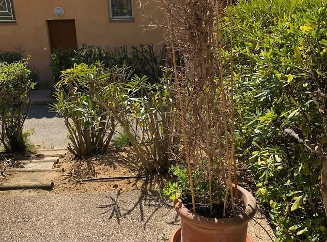 Porticcio, Agosta Vue Pour 6 P, 2 Ch, Promo 7 Nuits Daire